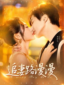 追妻路漫漫封面图