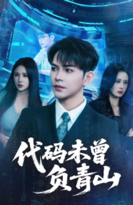 代码未曾负青山封面图