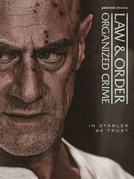 法律与秩序：组织犯罪第五季封面图