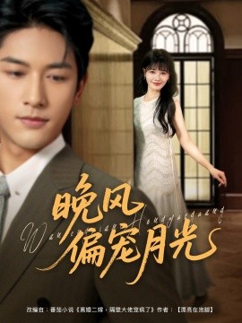 晚风偏宠月光封面图