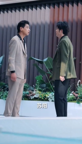 情深似海终成空封面图