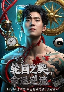 轮回之契，命运逆流封面图