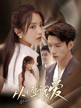 从未登记的爱封面图