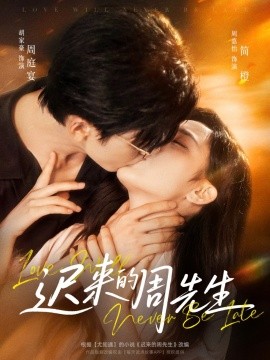 迟来的周先生封面图