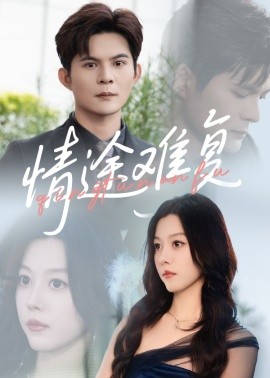 情途难复封面图