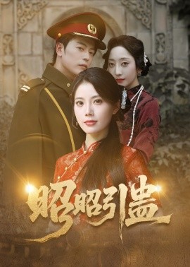 昭昭引蛊封面图