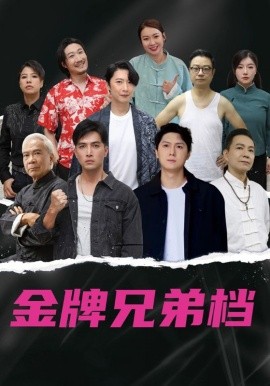 龙虎兄弟国语封面图