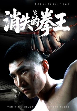 消失的拳王封面图