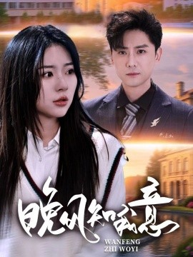 晚风知我意封面图