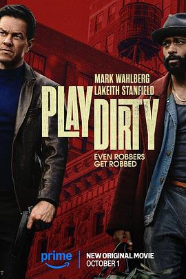 盗亦有道2025封面图