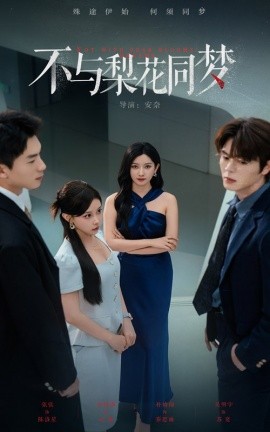 不与梨花同梦封面图