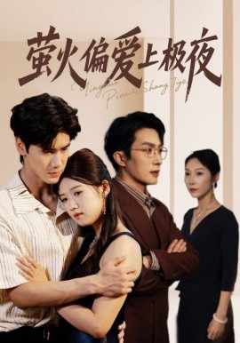 萤火偏爱上极夜封面图