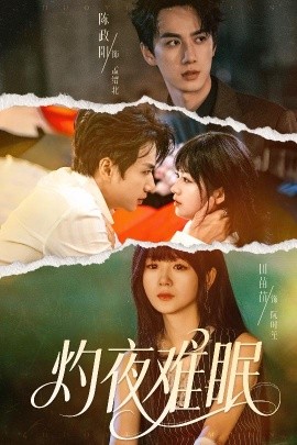 灼夜难眠封面图