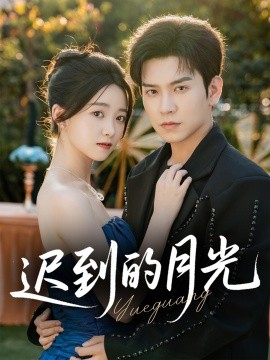 迟到的月光封面图