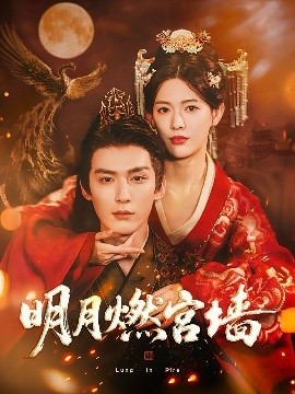 明月燃宫墙封面图