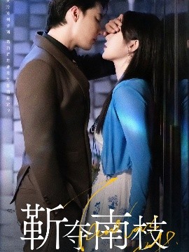 靳夺南枝 甜欲肆吻封面图