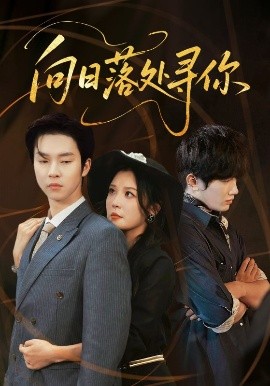 向日落处寻你封面图