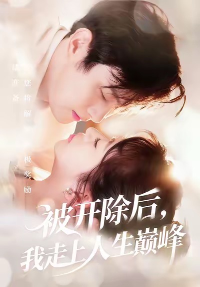 被开除后我走上人生巅峰封面图