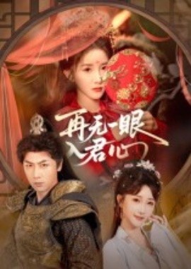再无一眼入君心封面图