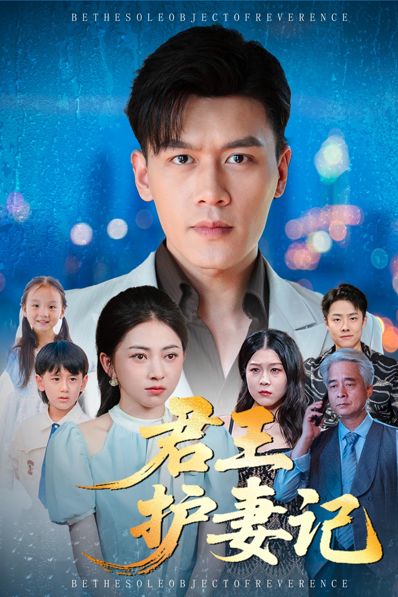 君王护妻记封面图