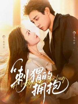 刺猬的拥抱封面图