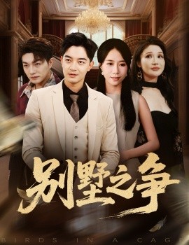 别墅之争封面图