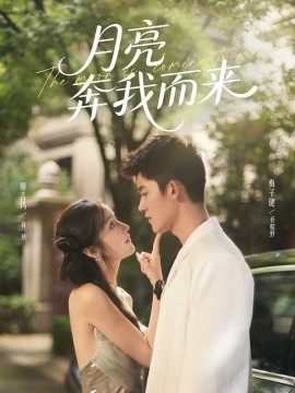 月亮奔我而来封面图